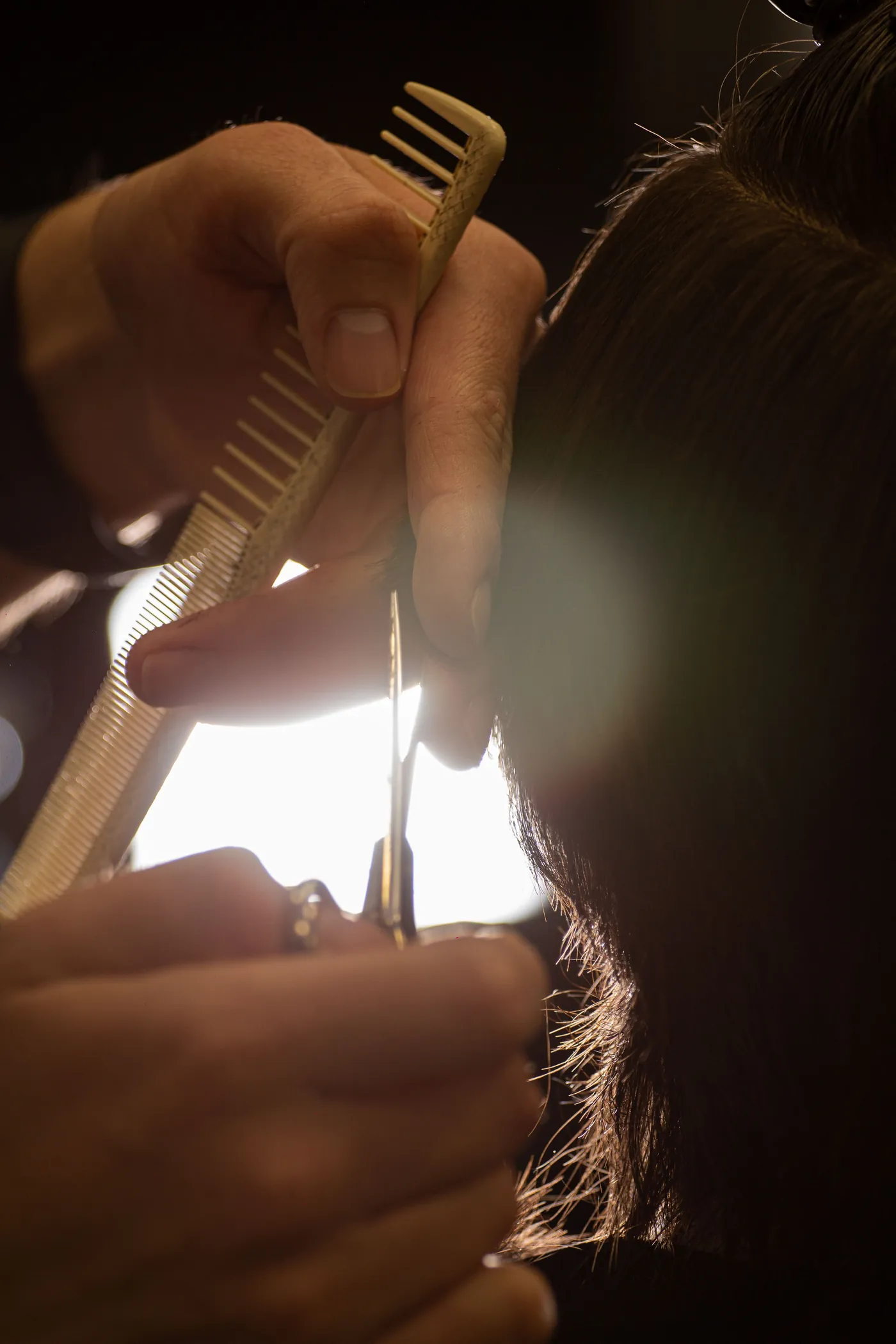 Corte